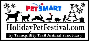 holiday pet festival