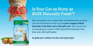 blue cat litter sweeps