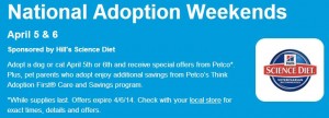 adoption weekend