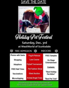 holiday-pet-festival